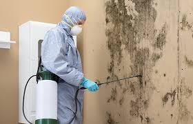 Mold Remediation for Vacation Homes in San Jose, CA